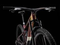 Trek Top Fuel 9.9 XX AXS Gen 4 - Axinite Flip