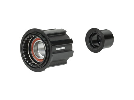 Bontrager DT240 Campagnolo N3W Freehub Body - črna