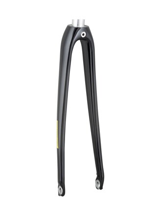 Trek 2021 Domane AL 2 700c Rigid Forks - Black/Carbon Smoke