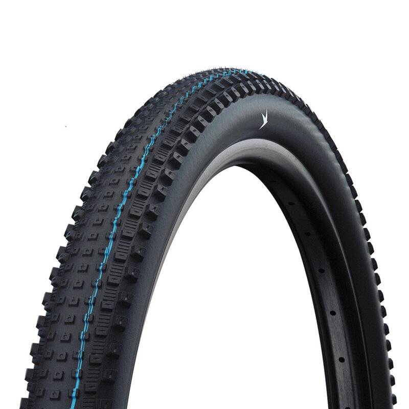 SCHWALBE Plášť RICK XC PRO (62-622) 29x2.40 Evolution 67EPI 760g Čierny TLR SpeedGrip